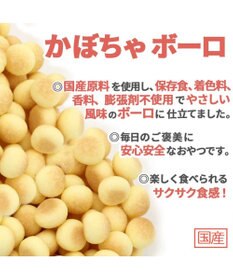 PET PARADISE かぼちゃ ボーロ 160g 大袋