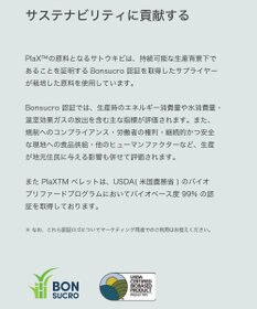 steppi 【抗菌防臭】パンプス用 フットカバー 浅履きタイプ