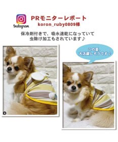 犬 服 春夏 保冷剤付き タンクトップ 小型犬 はち ポケットクール ドッグウエア ドッグウェア イヌ おしゃれ かわいい ひんやり 夏 涼感 冷却 吸水速乾 Pet Paradise ファッション通販 公式通販 オンワード クローゼット