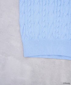 earth music&ecology Ｄｉｓｎｅｙ×Ｓｅｉｊｉ　Ｍａｔｓｕｍｏｔｏ刺繍ニット