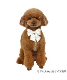 PET PARADISE ペットパラダイス 花柄りぼん 首輪 ＳＳ 小型犬
