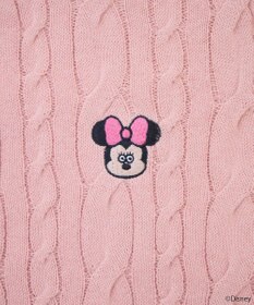 earth music&ecology Ｄｉｓｎｅｙ×Ｓｅｉｊｉ　Ｍａｔｓｕｍｏｔｏ刺繍ニット