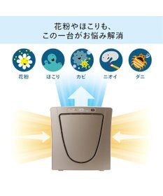 YAMATO テーブル＆キッチン 【TWINBIRD】HEPAフィルター空気清浄機  メタリックベージュ  AC-5943VO