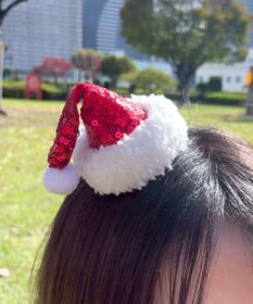 WEGO クリスマスミニピン