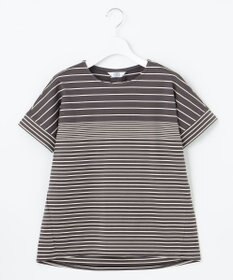 J.PRESS LADIES L パネルボーダー ドルマンスリーブ カットソー