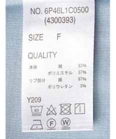 Green Parks ・ＳＵＧＡＲ　ＳＰＯＯＮ＜ＣＯＯＬ＞ラッフルスリーブＴＥＥ