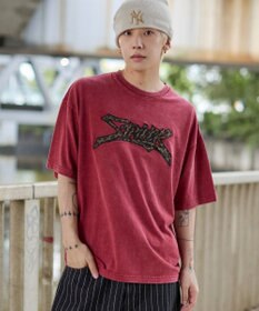 WEGO 【ユニセックス着用ITEM//MLサイズ展開】接触冷感グラフィックBIG　T（SS）