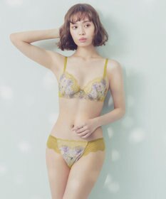 Wing Wing Lesiage　【2760シリーズ】　ブラジャー　ふっくらまる胸　カップ肌側綿混素材　ウイング／ワコール　PB2760