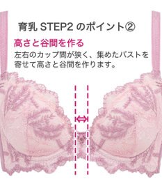 BRADELIS New York 【BRADELIS New York】ベルステップ２ブラ23S2 高さを出してシャープなバストをつくる