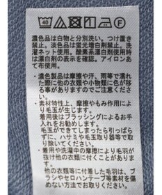 Green Parks ＢＰセンターシームミニ裏毛プルオーバー