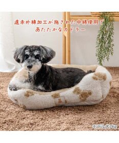 PET PARADISE ペットパラダイス くまちゃん 織り遠赤外線 四角 カドラー  Ｍ