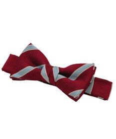 MIKI HOUSE HOT BISCUITS 【ミキハウス】 ボーダー柄 蝶ネクタイ