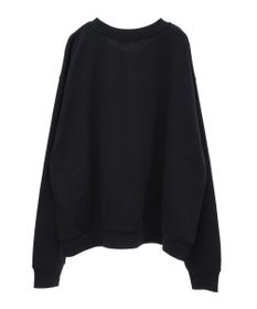 Green Parks １０ｔｈベイマックス／ポスタープルオーバー