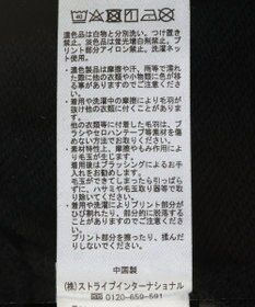 Green Parks １０ｔｈベイマックス／ポスタープルオーバー