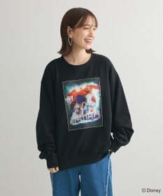 Green Parks １０ｔｈベイマックス／ポスタープルオーバー