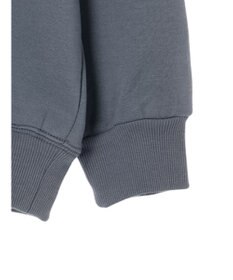 Green Parks ムジークタイガー／裏起毛刺しゅうフーディー