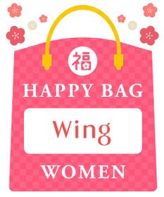Wing 【2026年HAPPY BAG】 ウイング ブラジャー 3枚セット