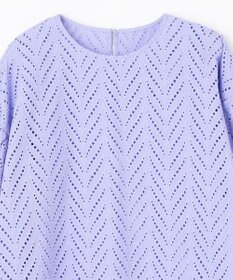 ANY L 【洗濯機可】エンブロイダリーブラウス