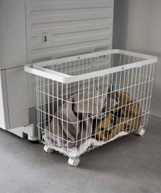 tower ランドリーバスケット キャスター付き ワイド&ロー