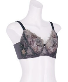 Wing ブラジャー 小さく見せるブラ Wing Lesiage 脇すっきり 背中すっきり 【2900シリーズ】 ブラ PB2901 ウイング／ワコール