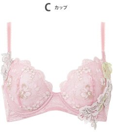 Wing ブラジャー Wing Lesiage 背中の段差をスムージング 脇高設計 バストの脇流れをブロック 【後ろ姿きれいブラ】 ブラ PB4010 ウイング／ワコール