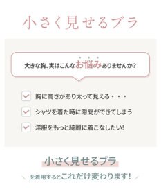 WACOAL 【小さく見せるブラ】 レーシィ ブラジャー 着やせ効果 コンパクトにメイク バストの突出をおさえる 背中の段差を軽減 大きいサイズ レディース BRB453 /ワコール