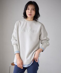 ANY L 【洗濯機可】エンブロイダリーロゴダンボールプルオーバー