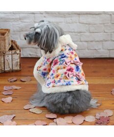 PET PARADISE ディズニー レディ ポンチョ わんわん物語 小型犬