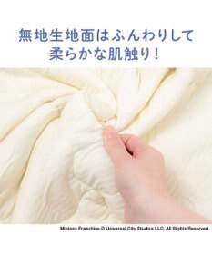 PET PARADISE ミニオン もちっと クール ケット 《おすわり柄》