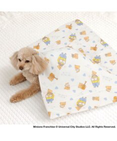 PET PARADISE ミニオン もちっと クール ケット 《おすわり柄》