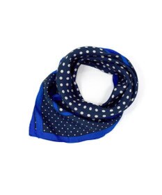 Marca 【Marcaオリジナル】ラインボーダードット 小判 シルクツイル スカーフ