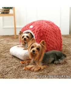 PET PARADISE ペットパラダイス  遠赤外線 アランボア ハウス