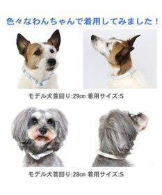 PET PARADISE クールリング 犬 クールネック ひんやり 28℃クールリング 【Ｓ】 リフレクター 水色 ベージュ  反射材付き