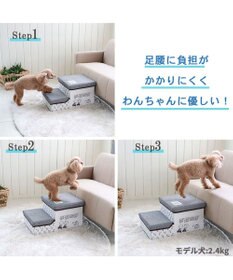 PET PARADISE ペットパラダイス スヌーピー ２段 ステップ 収納付きフレンズ柄