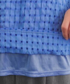 Tiaclasse シアーチェックブラウス