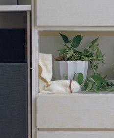 TRICOTE シャギーラインソックス