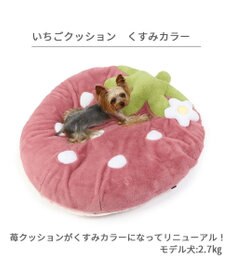 PET PARADISE ネット店限定 ペットパラダイス くすみ苺 クッション L