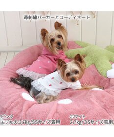 PET PARADISE ネット店限定 ペットパラダイス くすみ苺 クッション L