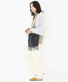 JOSEPH ABBOUD MOUNTAIN 【SPACE／UNISEX】マルチボーダー ストール