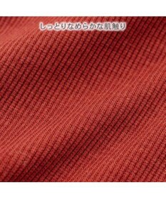 PET PARADISE ペットパラダイス プレミアム ぺティヒート スキッパーＴシャツ 中型犬 大型犬