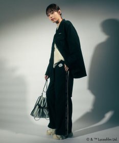 Green Parks ＳＴＡＲ　ＷＡＲＳ／バックプリントシャツ