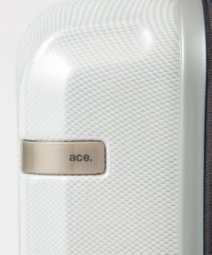 ACE BAGS & LUGGAGE ace. パリセイドZd Lサイズ 88～103L 06817 エース