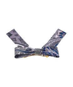 ACCA ブルーエグリージョバレッタ