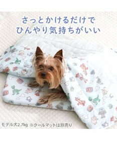 PET PARADISE ディズニー トイ・ストーリー もちっと クール ブランケット 《総柄》