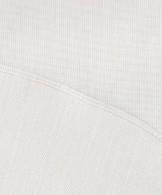 J.PRESS MEN 【KING SIZE】【PREMIUM PLEATS / 形態安定】エンドオンエンド シャツ / B.D.