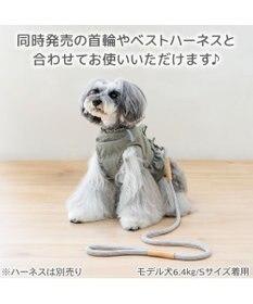 PET PARADISE ペットパラダイス ロープ リード グレー　ＳＳ～ＳＭ
