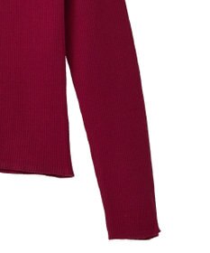 earth music&ecology 【イージーケア】【洗濯機洗い可】レンチング(TM)エコヴェロ(TM)(リブタートル)