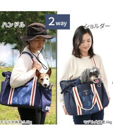PET PARADISE リサとガスパール キャリーバッグ  であい柄 小型犬