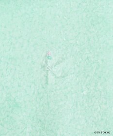 組曲 KIDS 【90㎝】シナぷしゅなりきり マント