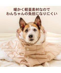 PET PARADISE ペットパラダイス くまちゃん フード付 防寒 ブランケット 大